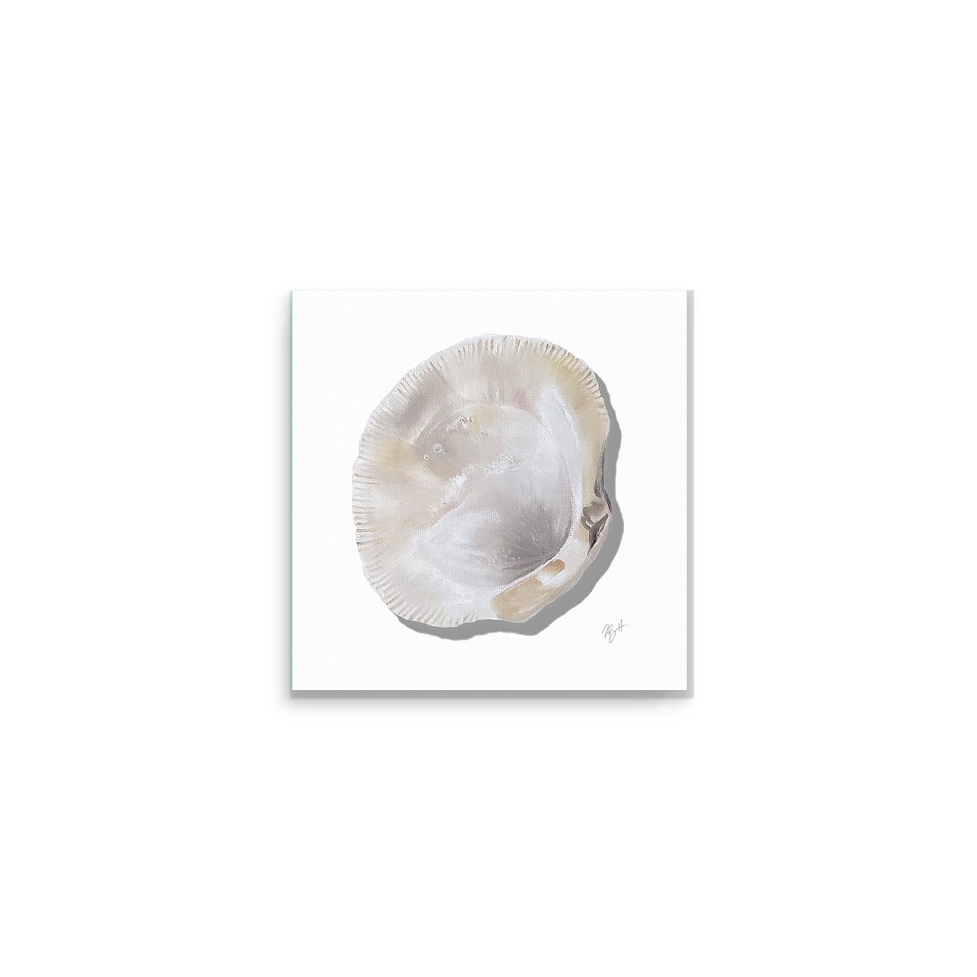 Clam Shell Print / Becky Bennett