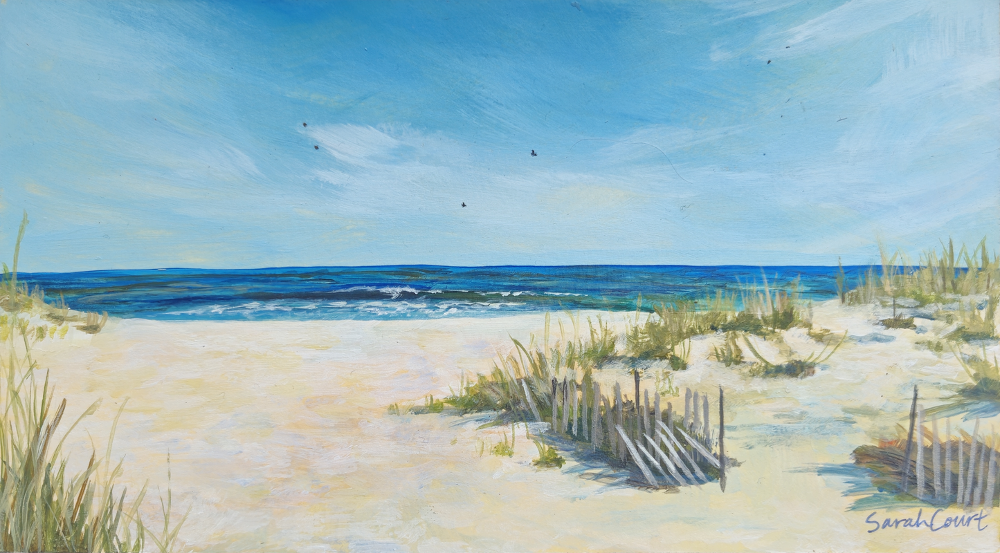 View From the Dunes - Sarah Court
