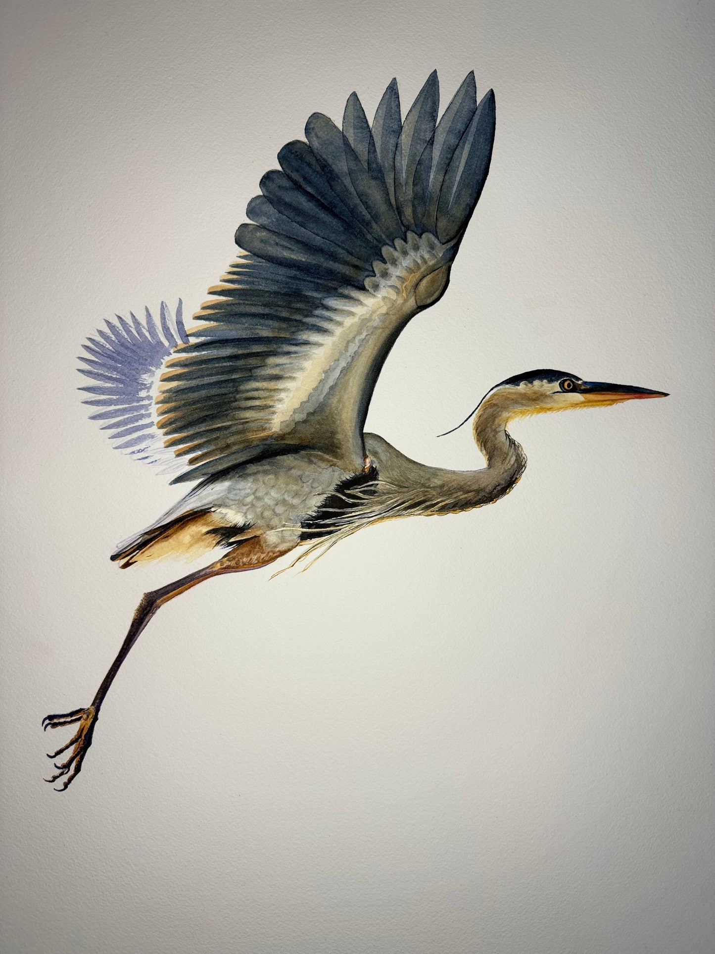 Anne Thomas - The Art Source | Price Varies by Project