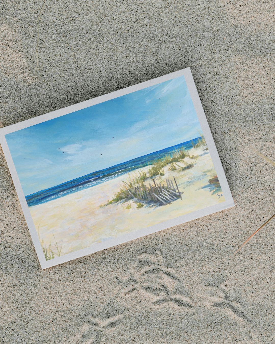 View From the Dunes - Sarah Court