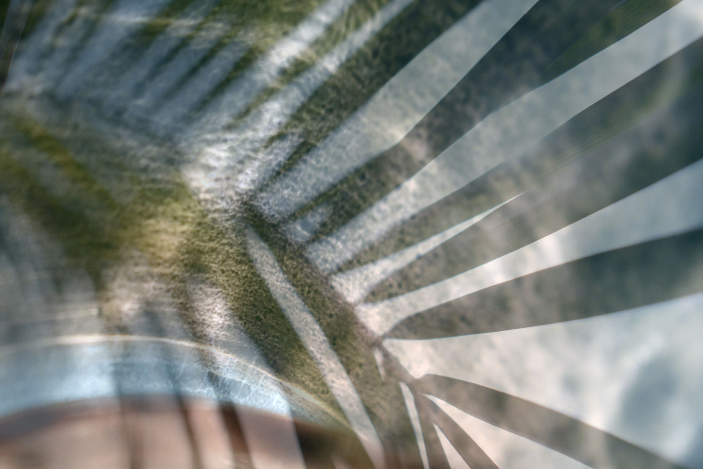 Charlotte Stevenson - The Art Source | Price Varies by Project