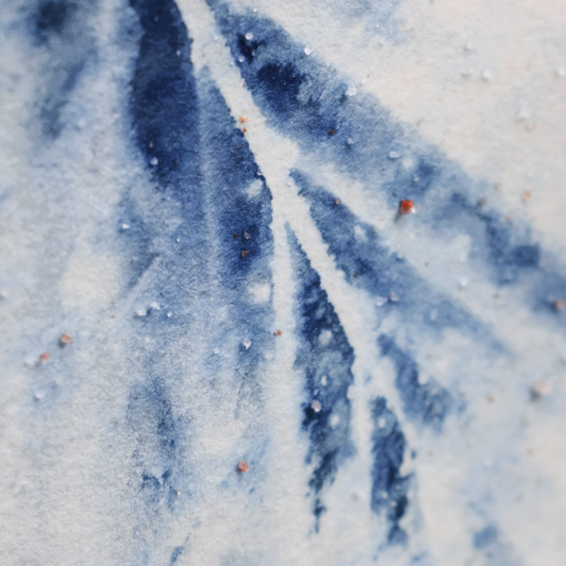 Salty I and II / Charlotte Stevenson / 11x14 / Fine Art Photography Prints