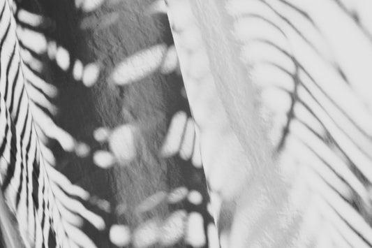 Shadows in the Sun I and II / Charlotte Stevenson / 16x20 / Fine Art Photography Prints