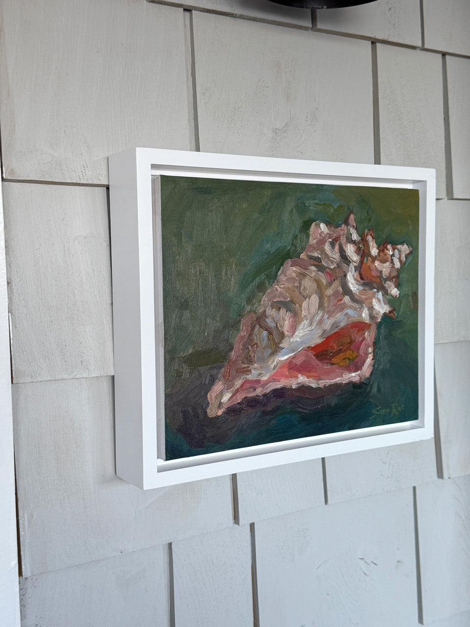 Shell on Green - by Sara Rae