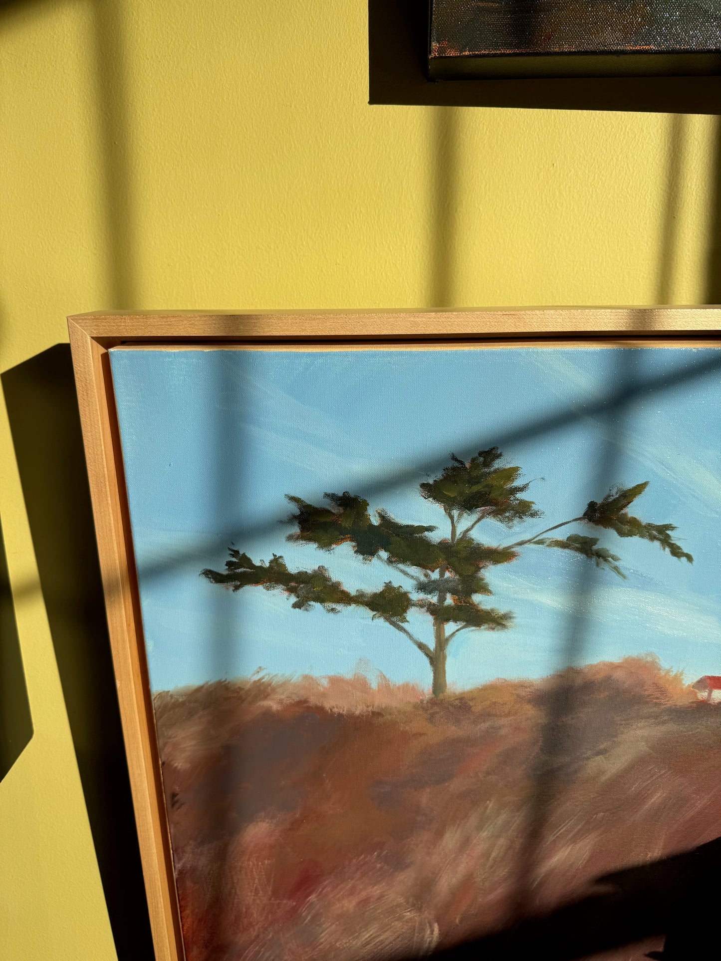 Nobska in February - by Debbie Mueller