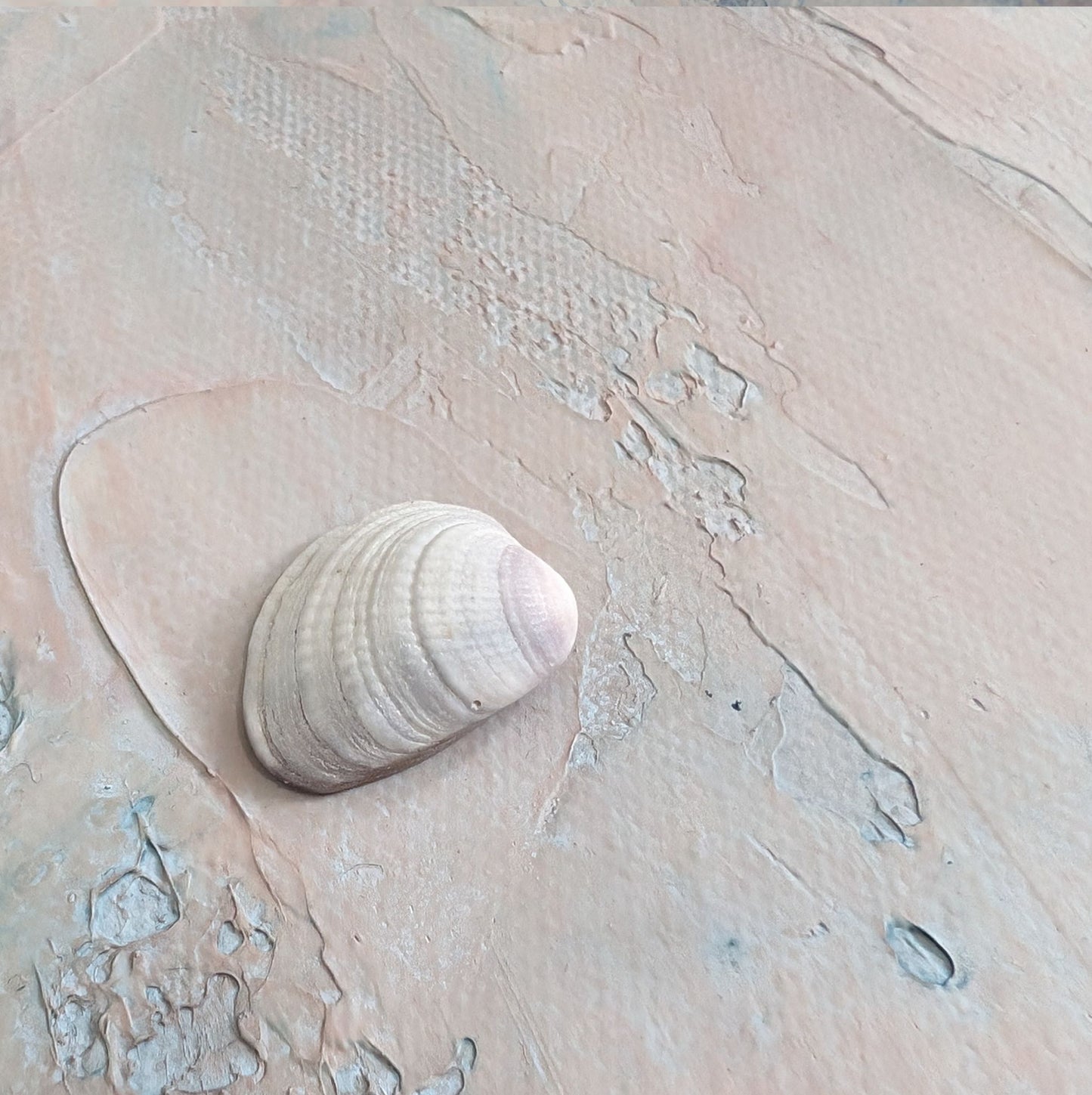 Shoreline Treasures - by Kate Shore