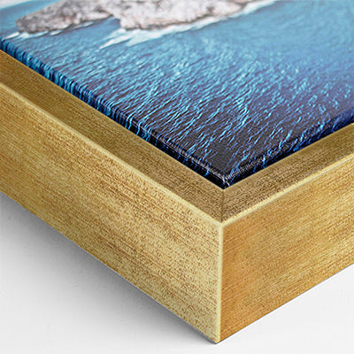 Breath of the Lowcountry Print / Sheri Hartnett