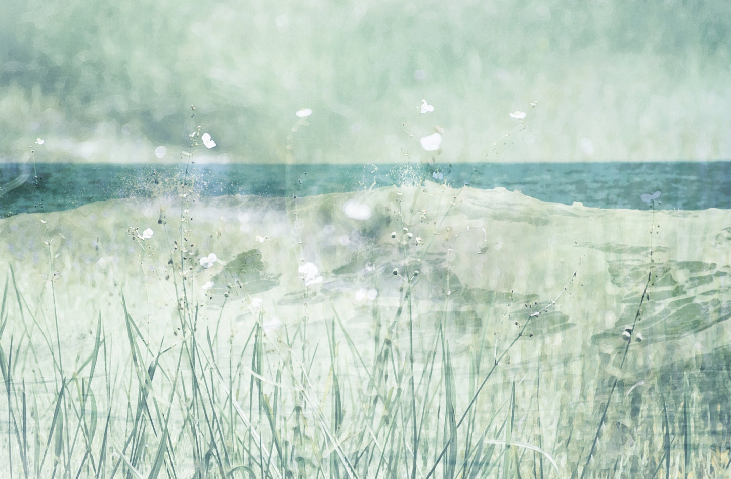 Where The Wild Dreams Grow / Charlotte Stevenson / Photography Prints / Size and Print Options Available