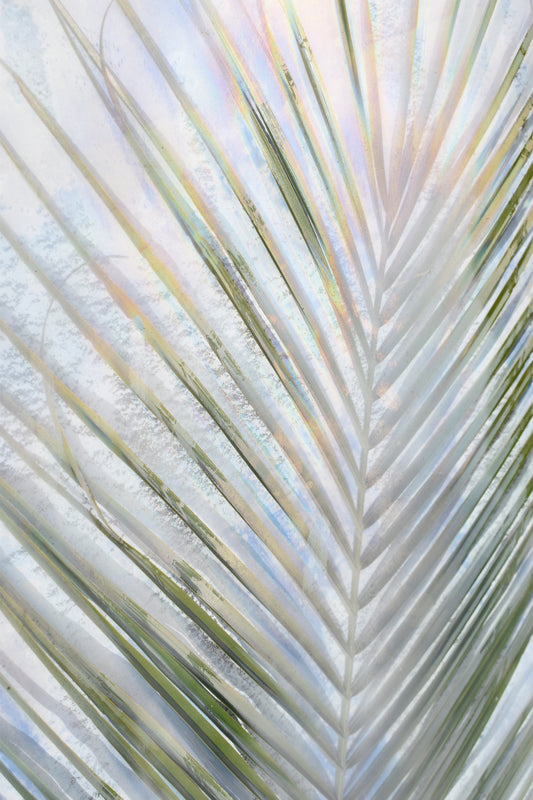 Pastel Palm Portrait / Charlotte Stevenson / 20x30 / Metal Photography Print