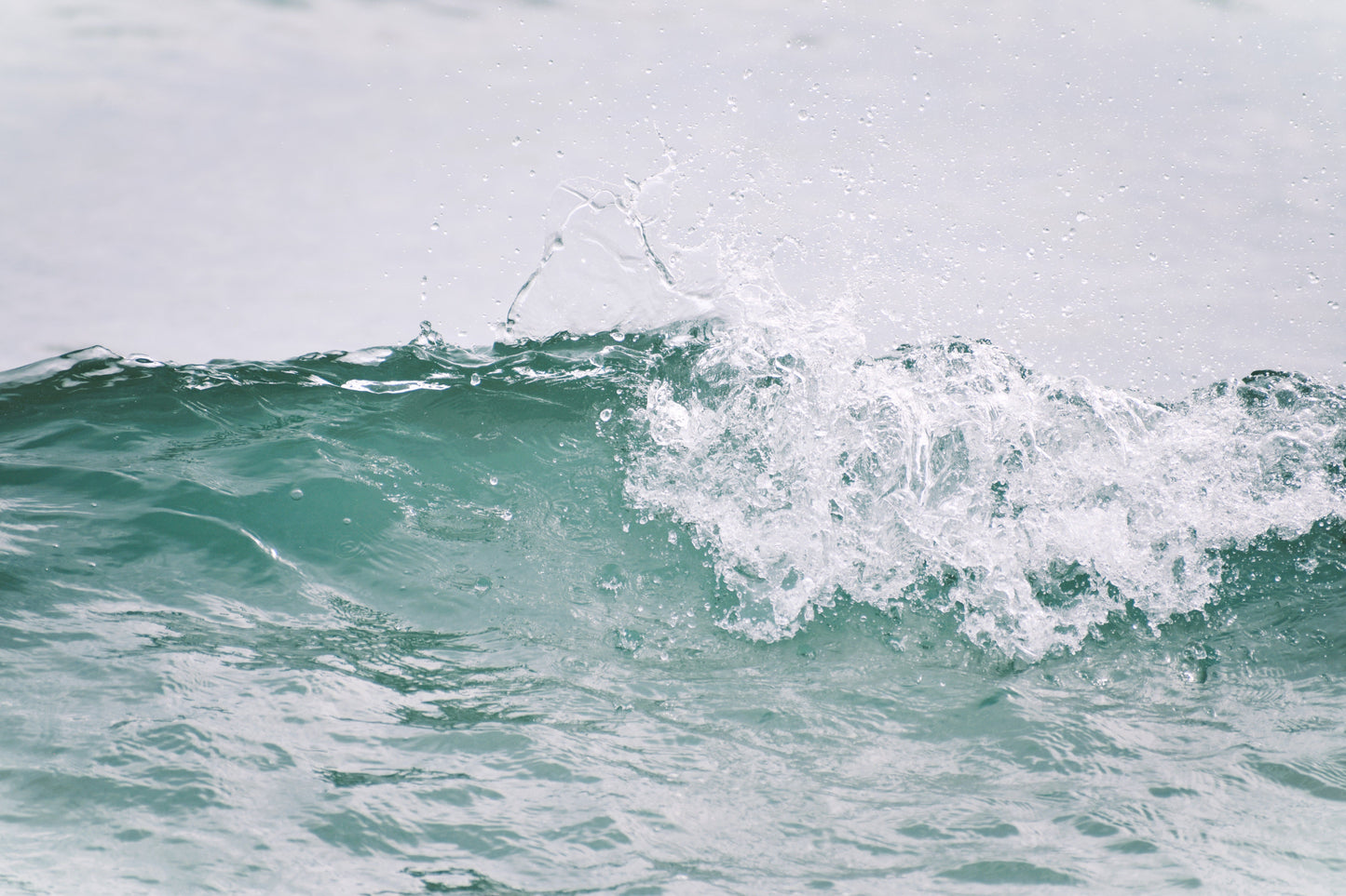 Charlotte Stevenson - The Art Source | Price Varies by Project