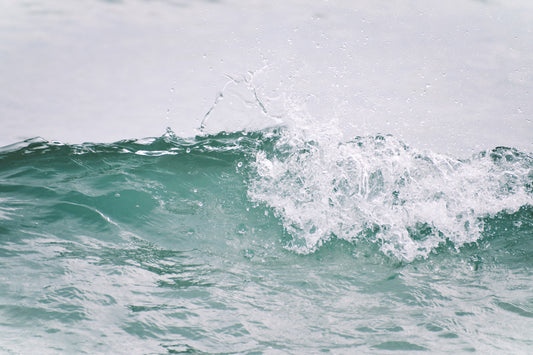 Charlotte Stevenson - The Art Source | Price Varies by Project