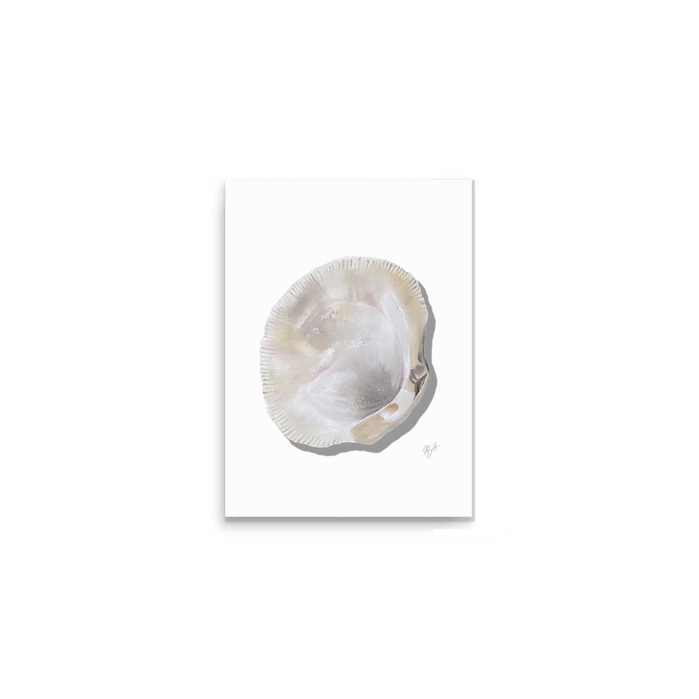 Clam Shell Print / Becky Bennett