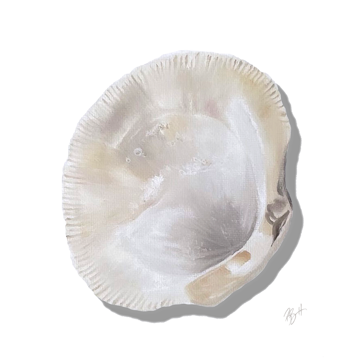 Shell Collection Prints / Becky Bennett / Set of 4 / 8x8