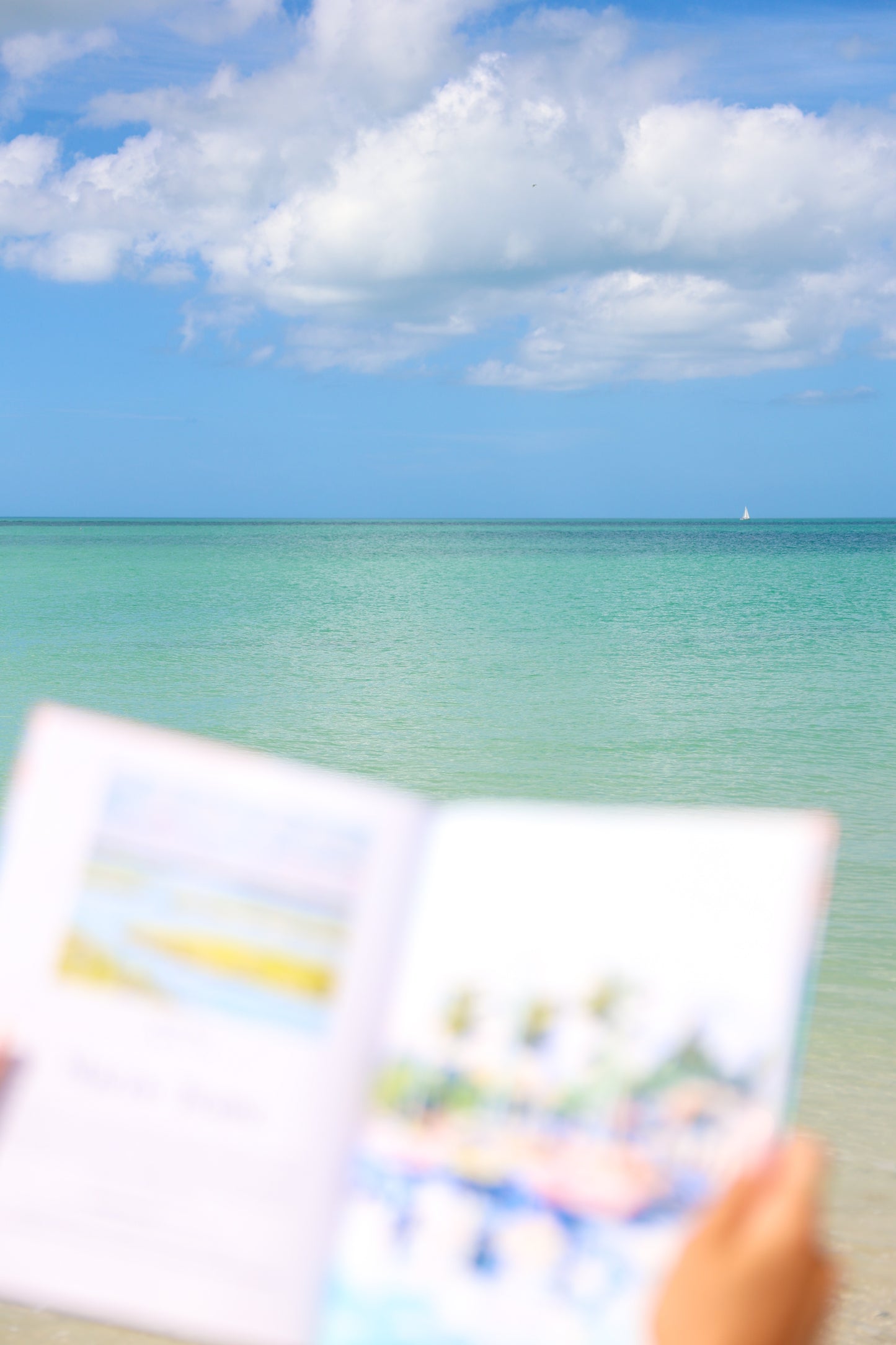 The Art of Saltwater: A Coastal Coffee Table Book