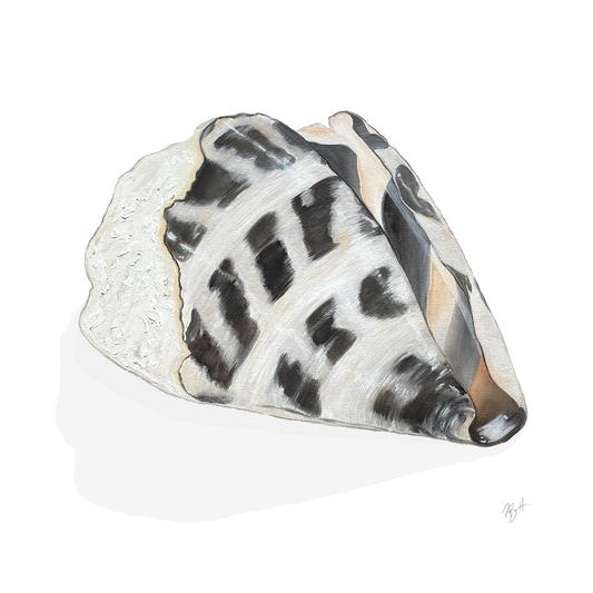 Hebrew Cone Print / Becky Bennett