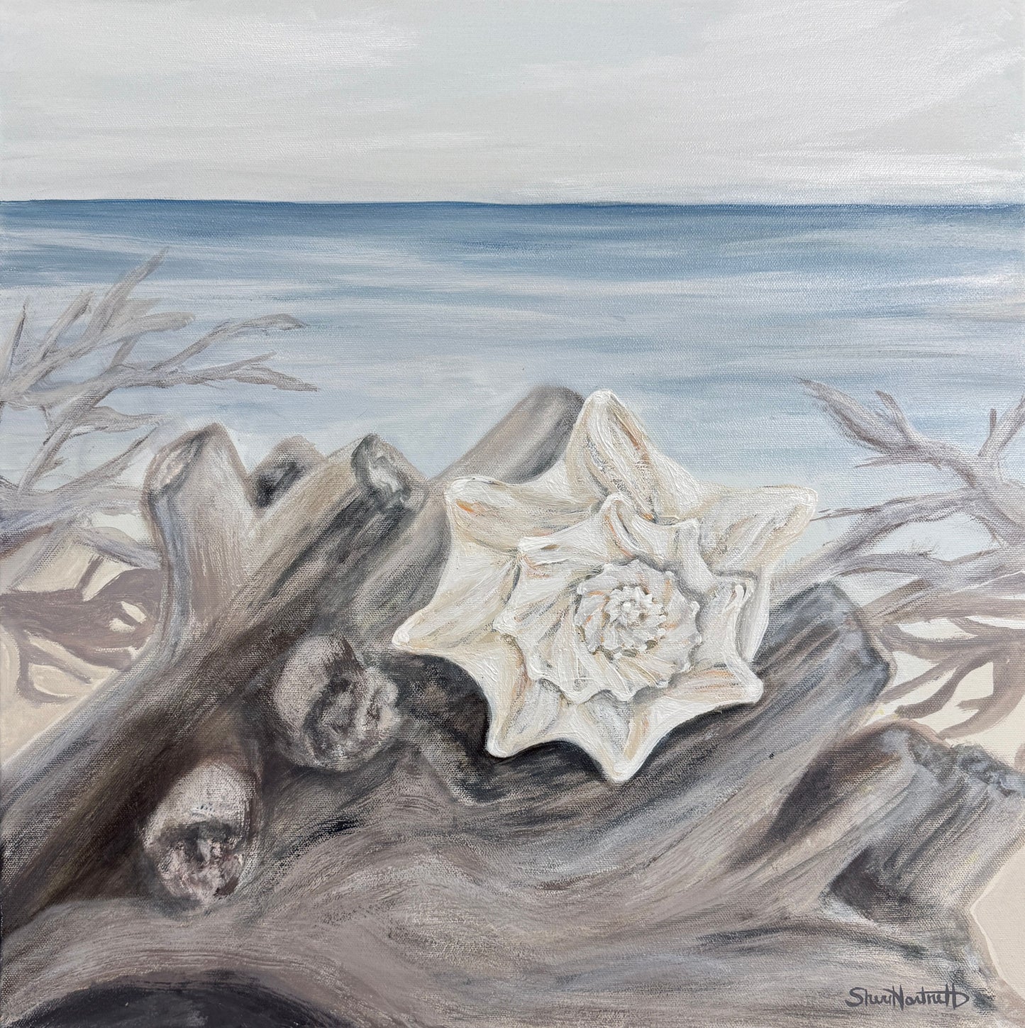 Solitary Conch Shell - by Sheri Hartnett