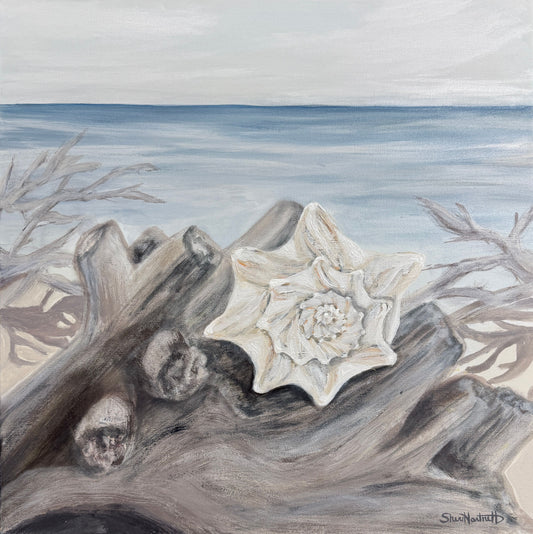 Solitary Conch Shell - by Sheri Hartnett