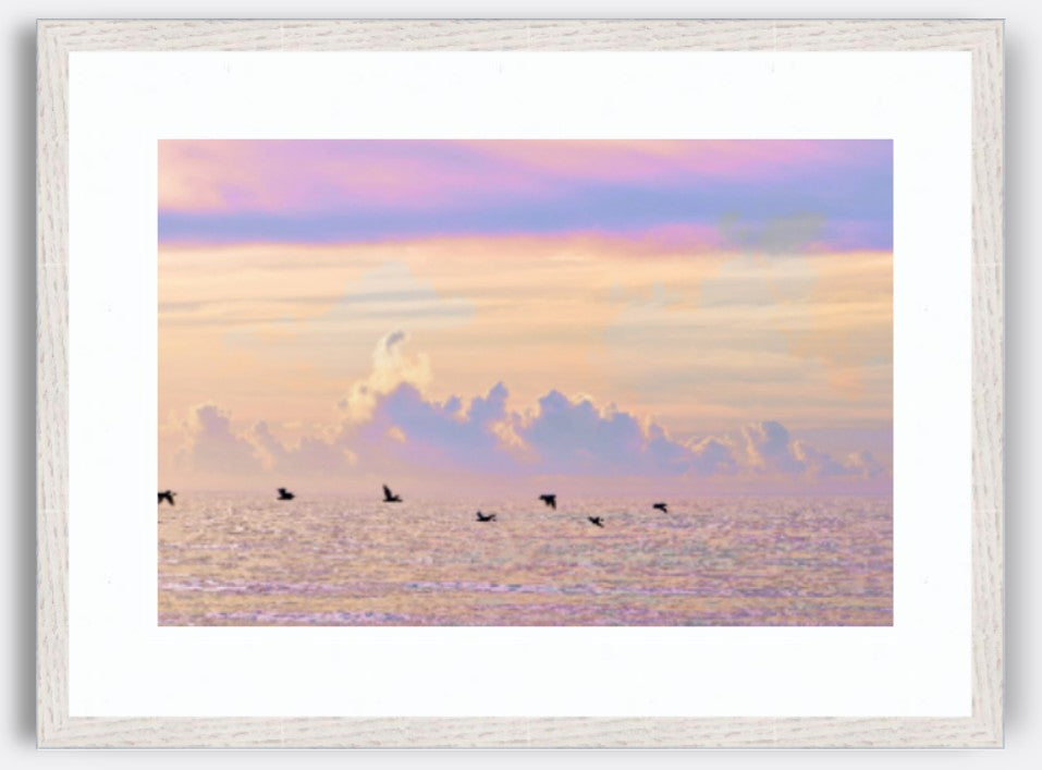Joy in the Morning / Charlotte Stevenson / Photography Prints / Size and Print Options Available