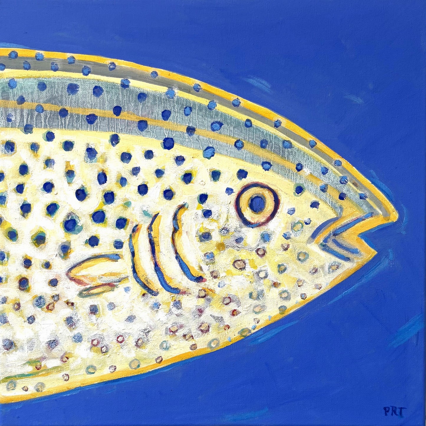Fish Head #6 / Pamela Tarbell / 14x14 / Framed