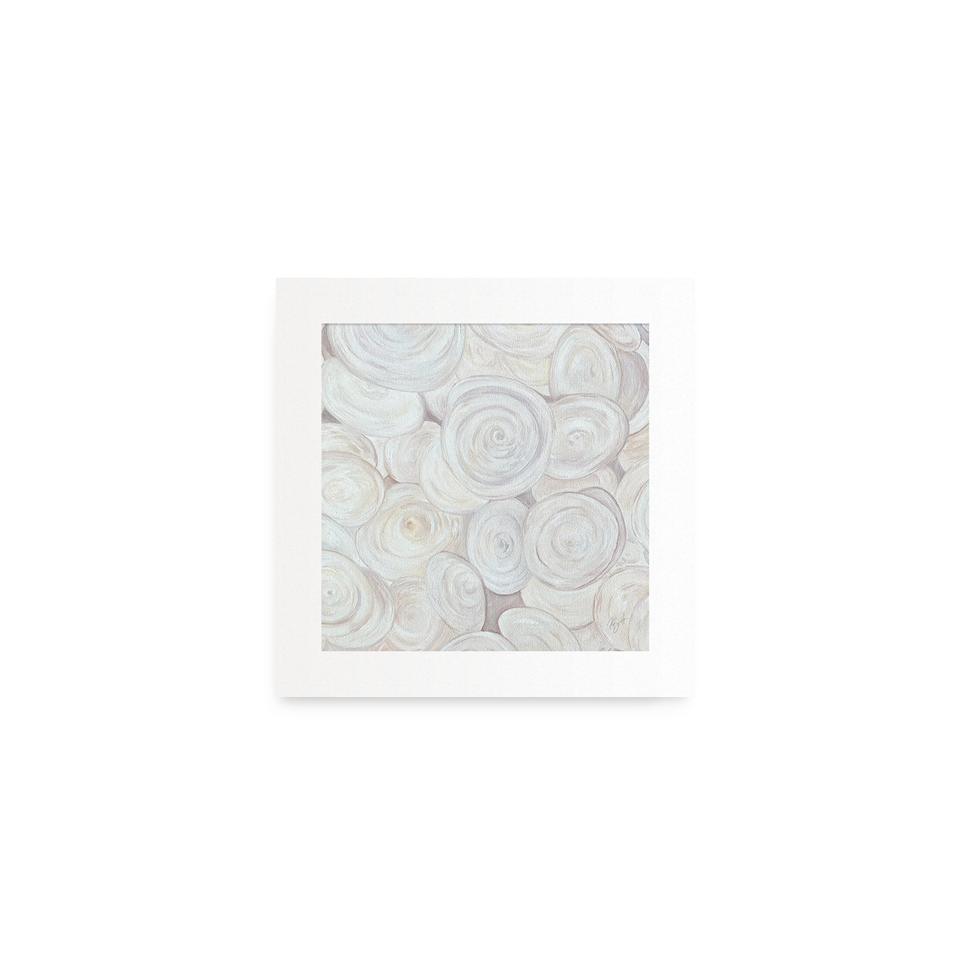 Shell Collection Prints / Becky Bennett / Set of 4 / 8x8