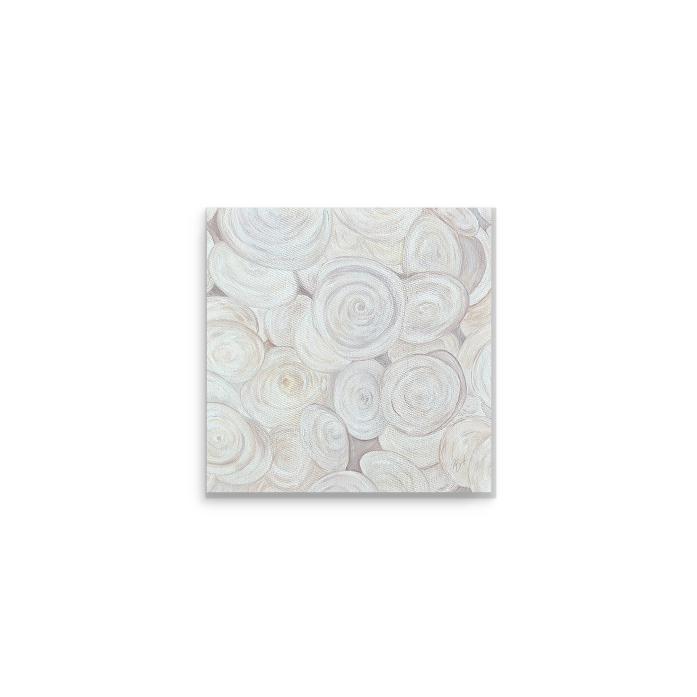 Shell Collection Prints / Becky Bennett / Set of 4 / 8x8