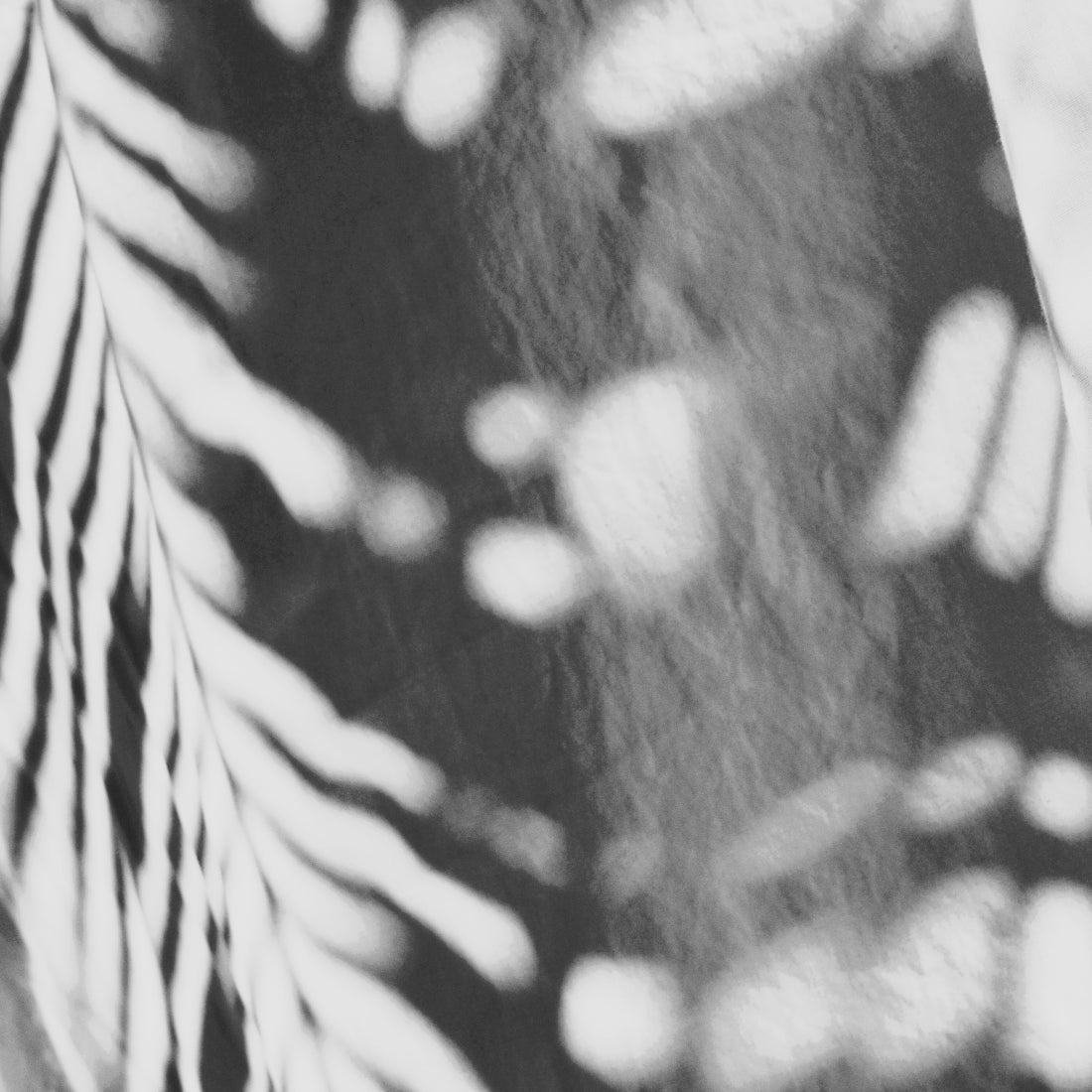 Shadows in the Sun I and II / Charlotte Stevenson / 16x20 / Fine Art Photography Prints