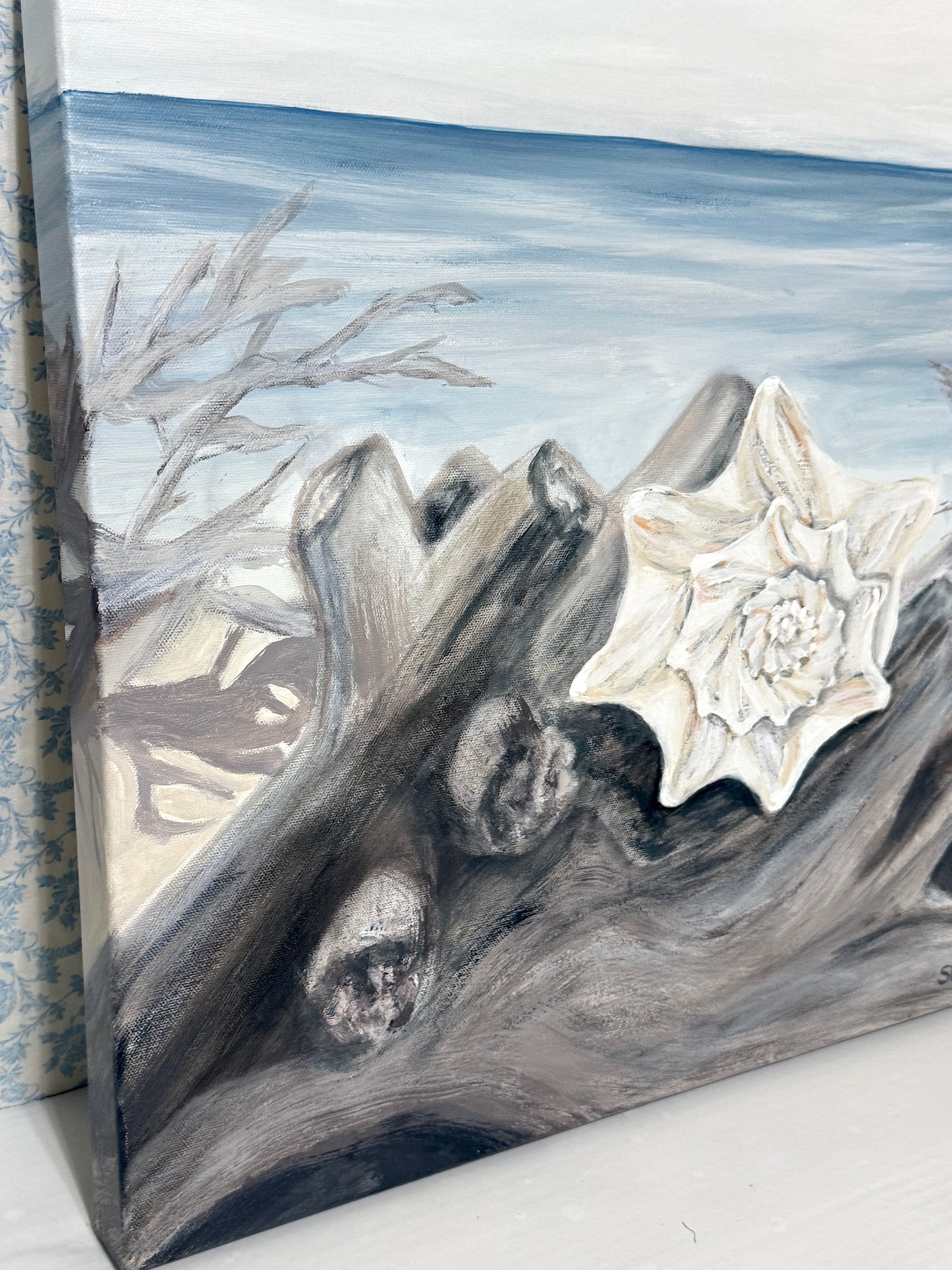 Solitary Conch Shell - by Sheri Hartnett