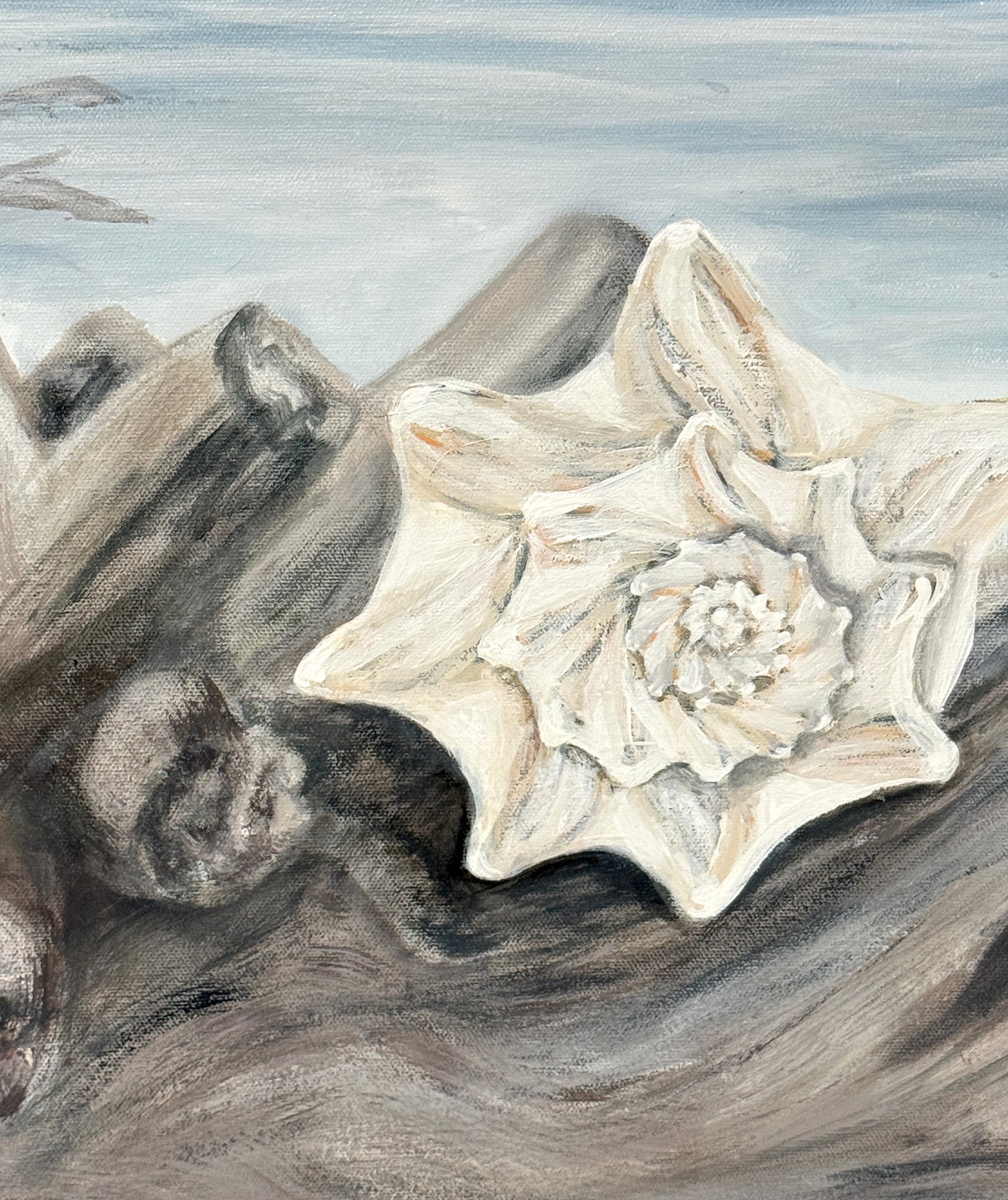 Solitary Conch Shell - by Sheri Hartnett