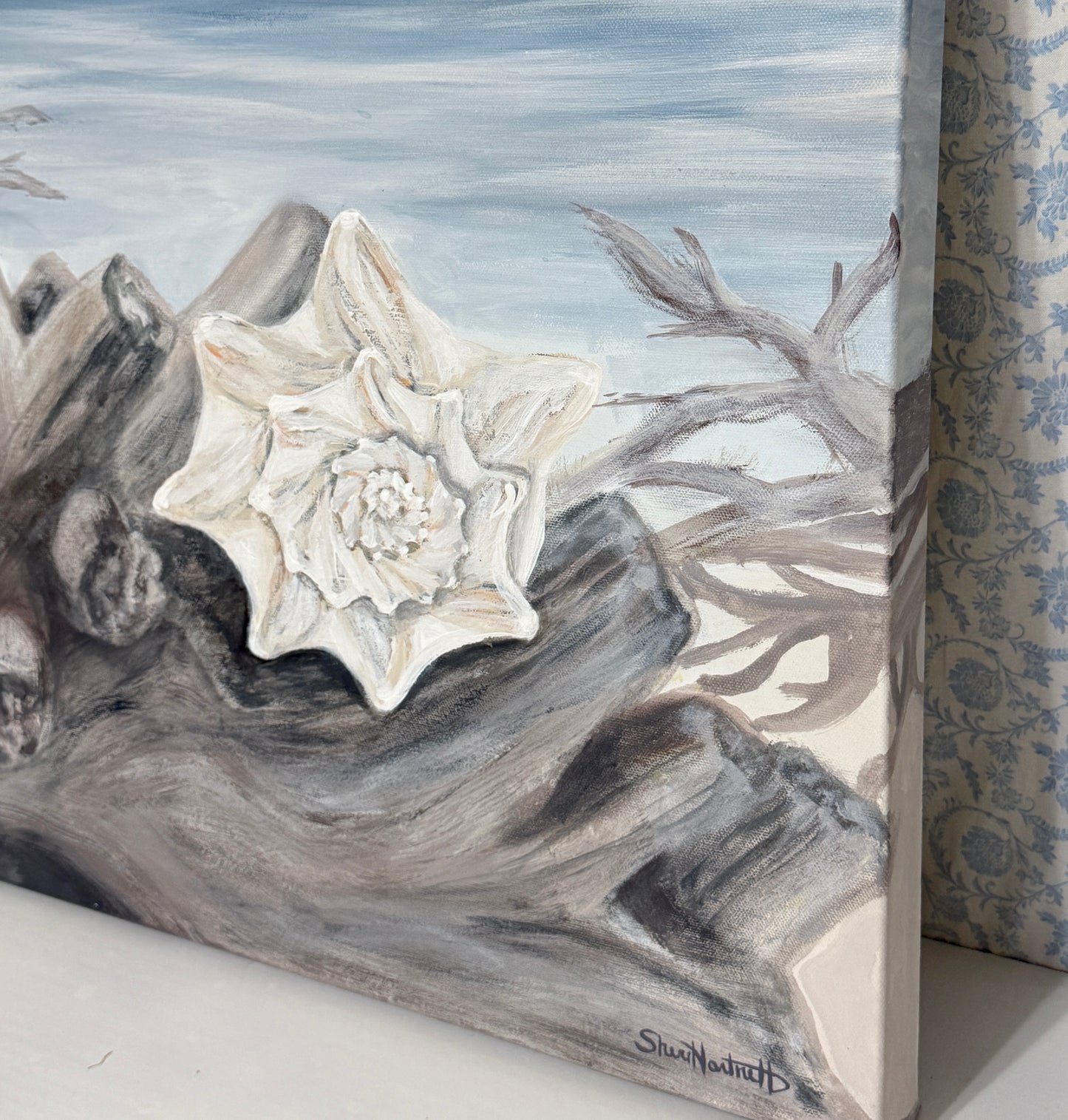 Solitary Conch Shell - by Sheri Hartnett