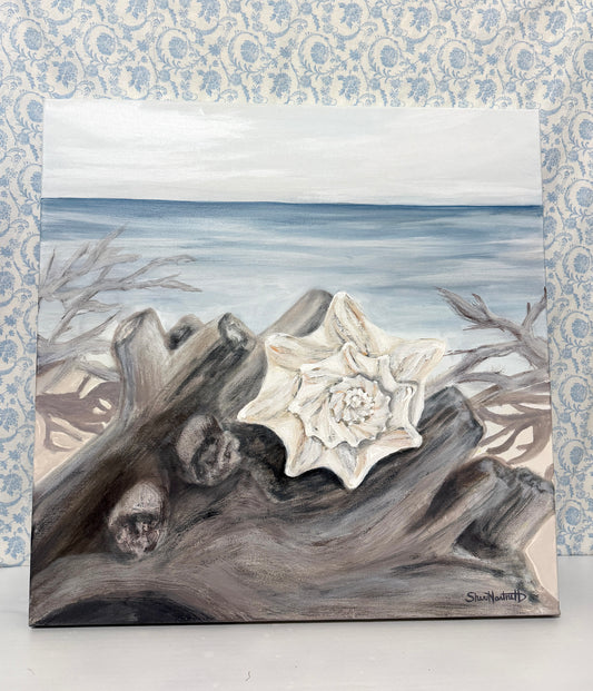 Solitary Conch Shell - by Sheri Hartnett