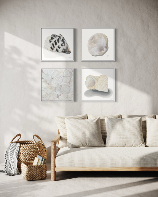 Shell Collection Prints / Becky Bennett / Set of 4 / 8x8