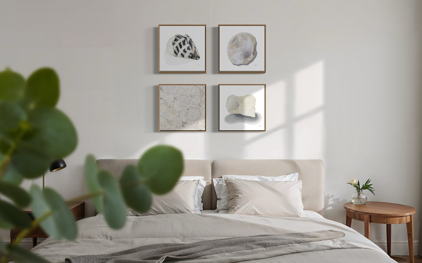 Shell Collection Prints / Becky Bennett / Set of 4 / 8x8