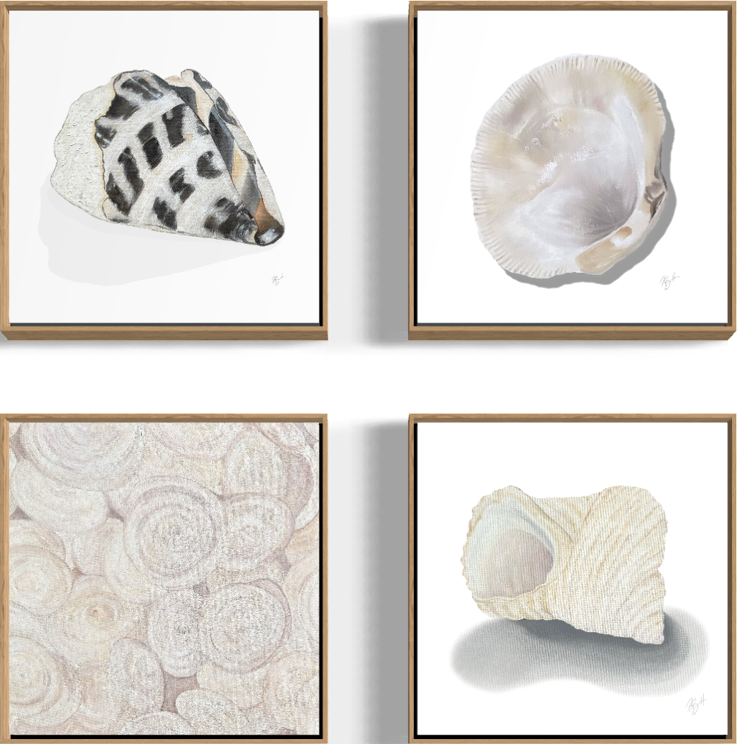 Shell Collection Prints / Becky Bennett / Set of 4 / 8x8