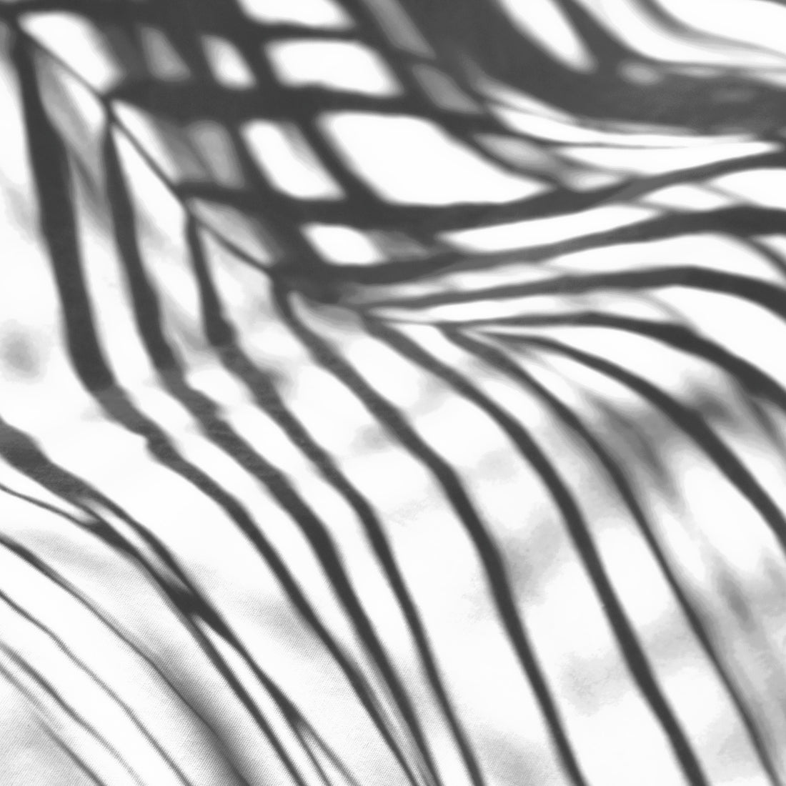 Shadows in the Sun I and II / Charlotte Stevenson / 16x20 / Fine Art Photography Prints