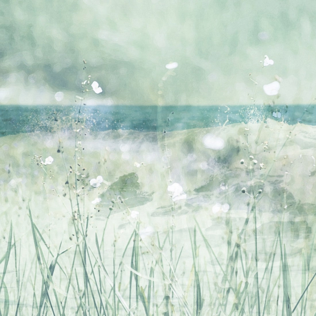 Where The Wild Dreams Grow / Charlotte Stevenson / Photography Prints / Size and Print Options Available
