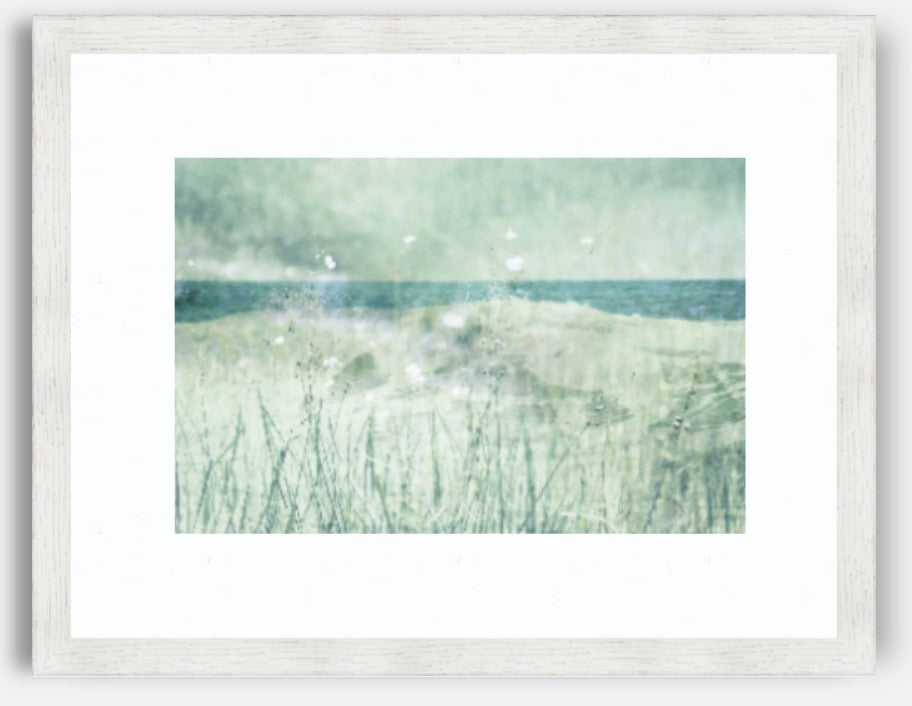 Where The Wild Dreams Grow / Charlotte Stevenson / Photography Prints / Size and Print Options Available