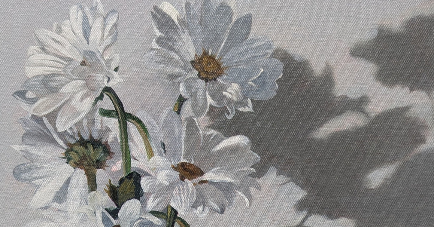Daisies - by Bryan Gorski