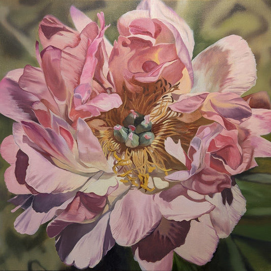 Peony - by Bryan Gorski