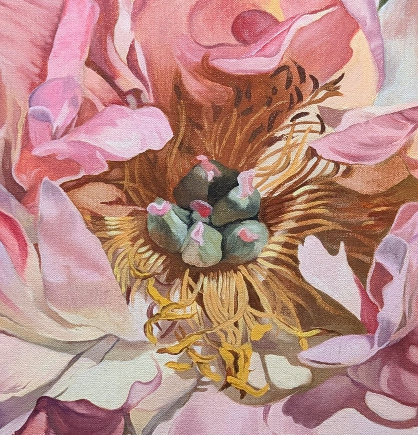 Peony - by Bryan Gorski